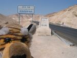 Tigerbaby at level zero in the desert