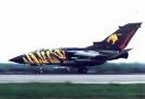 takeoff tiger mhle