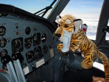 Tigerbaby übernimmt die Kontrolle über die Mission