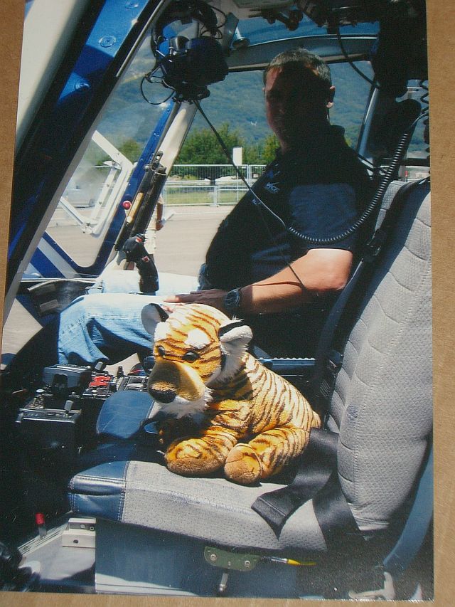 Tigerbaby im Cockpit für recurrency flug
