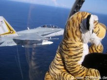 F-18 sea patrol