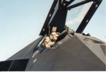Tigerbaby auf F-117