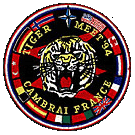 Patch Nato Tiger Meet 1994
