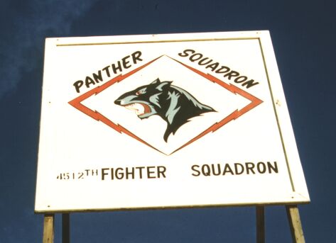 321 Panther Patch