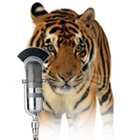 Tiger Chat Image